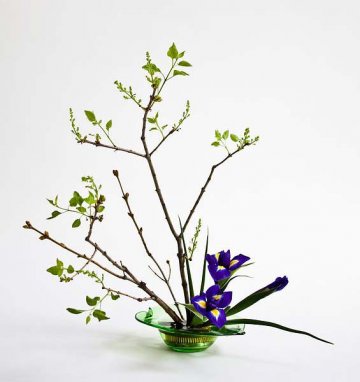 ukázka ikebany s použitím květů kosatců